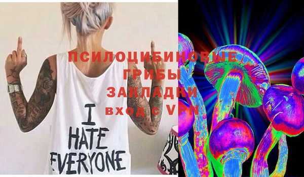 гидропоника Армянск