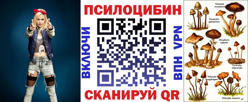 как найти наркотики  Тайшет  Галлюциногенные грибы Psilocybe 